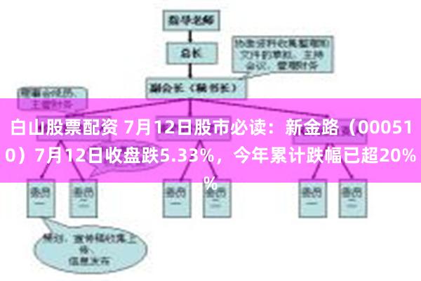 白山股票配资 7月12日股市必读：新金路（000510）7月12日收盘跌5.33%，今年累计跌幅已超20%