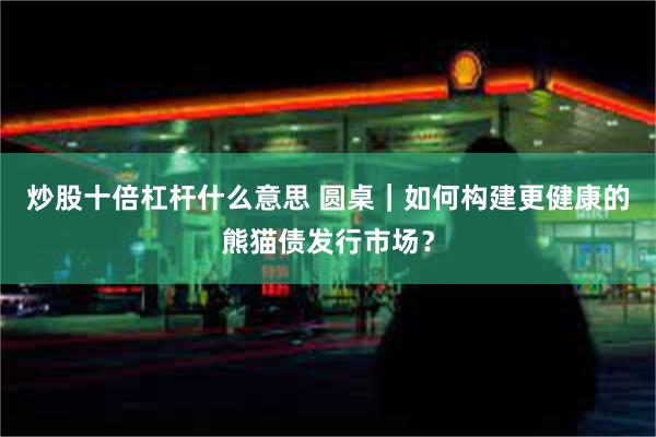 炒股十倍杠杆什么意思 圆桌｜如何构建更健康的熊猫债发行市场？