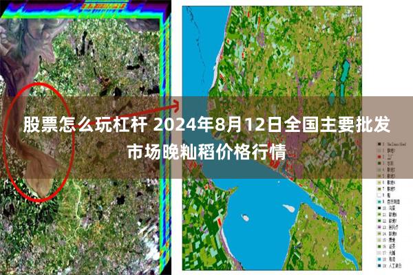 股票怎么玩杠杆 2024年8月12日全国主要批发市场晚籼稻价格行情