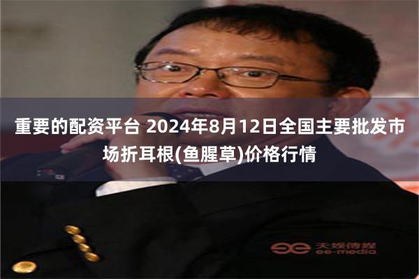 重要的配资平台 2024年8月12日全国主要批发市场折耳根(鱼腥草)价格行情