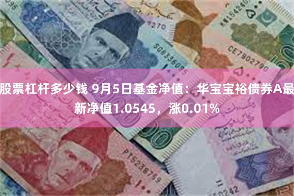 股票杠杆多少钱 9月5日基金净值：华宝宝裕债券A最新净值1.0545，涨0.01%