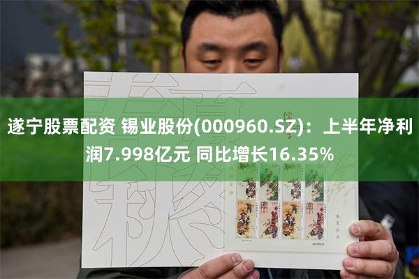 遂宁股票配资 锡业股份(000960.SZ)：上半年净利润7.998亿元 同比增长16.35%