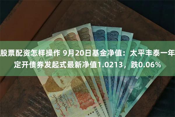 股票配资怎样操作 9月20日基金净值：太平丰泰一年定开债券发起式最新净值1.0213，跌0.06%