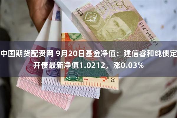 中国期货配资网 9月20日基金净值：建信睿和纯债定开债最新净值1.0212，涨0.03%