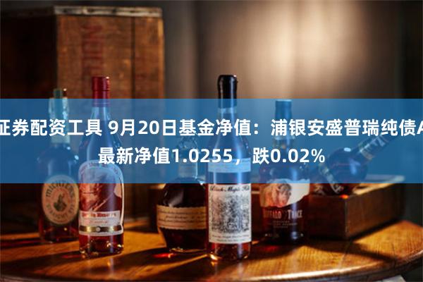 证券配资工具 9月20日基金净值：浦银安盛普瑞纯债A最新净值1.0255，跌0.02%