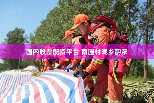 国内股票配资平台 南园村晚乡韵浓