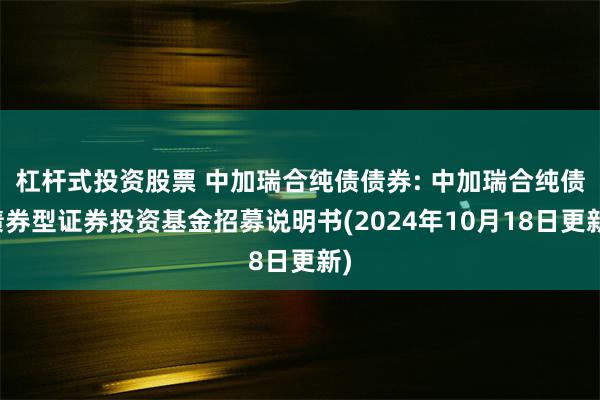 杠杆式投资股票 中加瑞合纯债债券: 中加瑞合纯债债券型证券投资基金招募说明书(2024年10月18日更新)