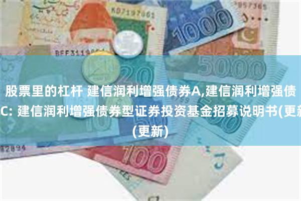 股票里的杠杆 建信润利增强债券A,建信润利增强债券C: 建信润利增强债券型证券投资基金招募说明书(更新)