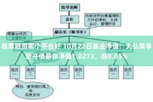 股票融资哪个平台好 10月22日基金净值：天弘荣享定开债最新净值1.0273，跌0.05%