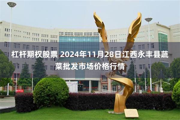 杠杆期权股票 2024年11月28日江西永丰县蔬菜批发市场价格行情