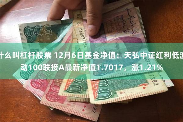 什么叫杠杆股票 12月6日基金净值：天弘中证红利低波动100联接A最新净值1.7017，涨1.21%