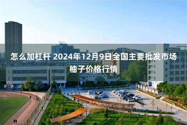 怎么加杠杆 2024年12月9日全国主要批发市场柚子价格行情