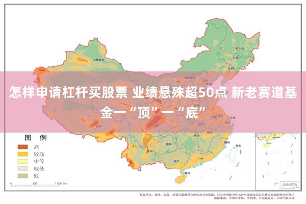 怎样申请杠杆买股票 业绩悬殊超50点 新老赛道基金一“顶”一“底”