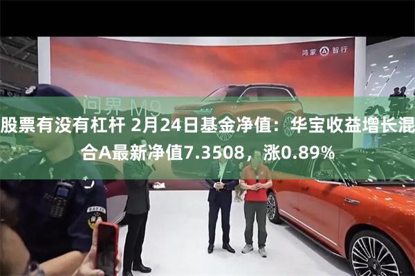 股票有没有杠杆 2月24日基金净值：华宝收益增长混合A最新净值7.3508，涨0.89%