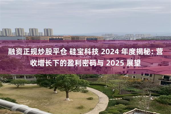 融资正规炒股平仓 硅宝科技 2024 年度揭秘: 营收增长下的盈利密码与 2025 展望